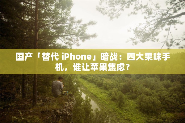 国产「替代 iPhone」暗战：四大果味手机，谁让苹果焦虑？