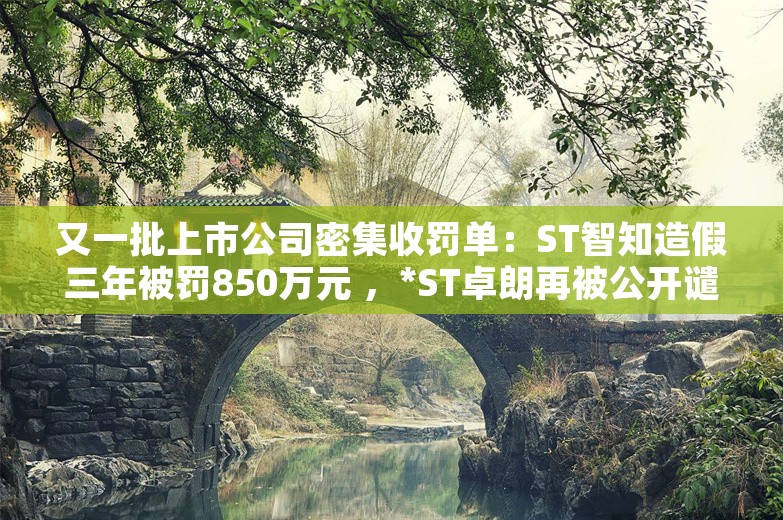 又一批上市公司密集收罚单：ST智知造假三年被罚850万元 ，*ST卓朗再被公开谴责