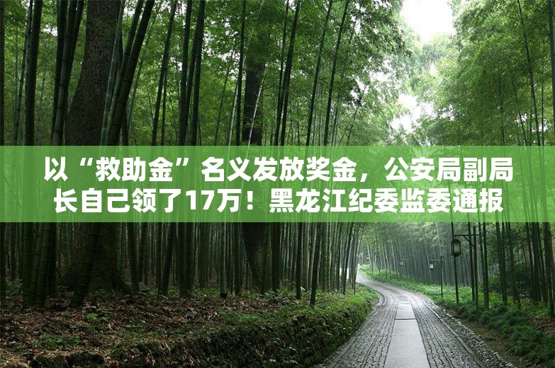 以“救助金”名义发放奖金，公安局副局长自己领了17万！黑龙江纪委监委通报