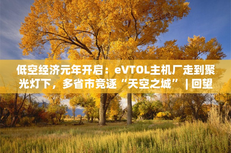 低空经济元年开启：eVTOL主机厂走到聚光灯下，多省市竞逐“天空之城” | 回望2024⑪