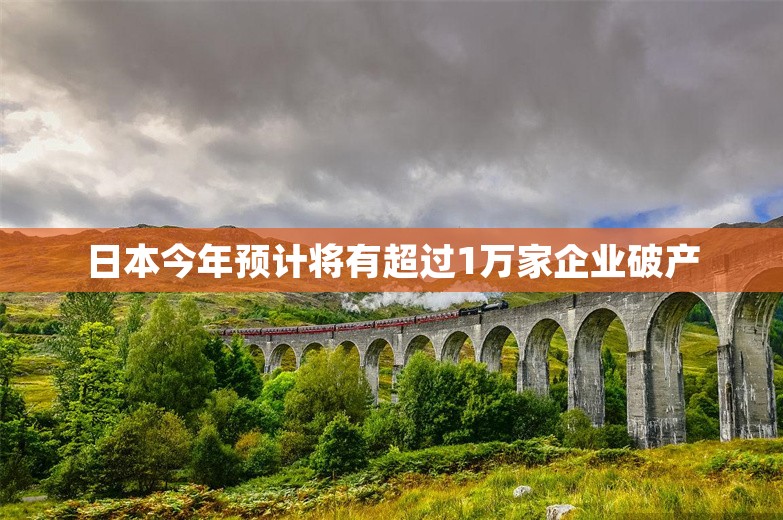 日本今年预计将有超过1万家企业破产