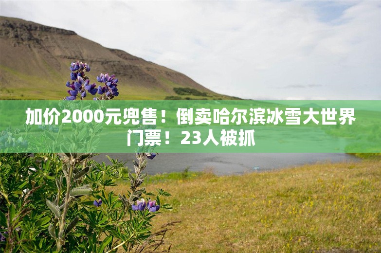 加价2000元兜售！倒卖哈尔滨冰雪大世界门票！23人被抓