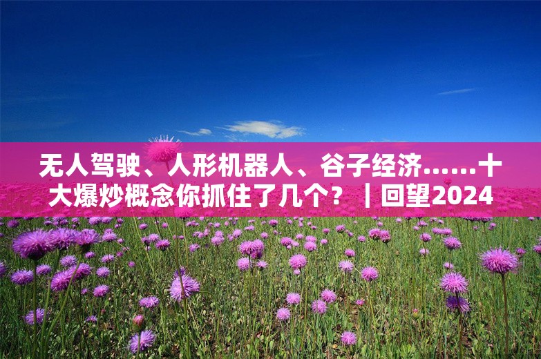 无人驾驶、人形机器人、谷子经济……十大爆炒概念你抓住了几个？｜回望2024⑫