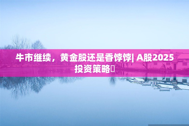 牛市继续，黄金股还是香饽饽| A股2025投资策略⑪