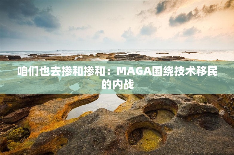 咱们也去掺和掺和：MAGA围绕技术移民的内战