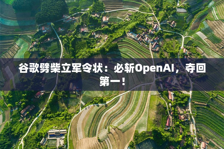 谷歌劈柴立军令状：必斩OpenAI，夺回第一！