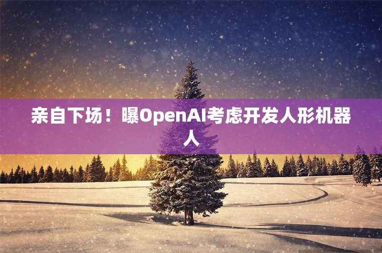 亲自下场！曝OpenAI考虑开发人形机器人