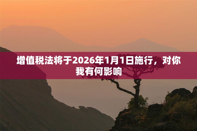 增值税法将于2026年1月1日施行，对你我有何影响