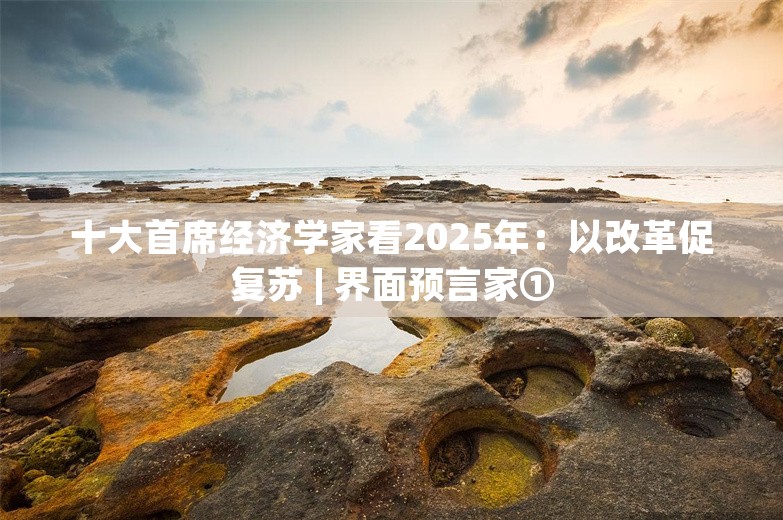 十大首席经济学家看2025年：以改革促复苏 | 界面预言家①