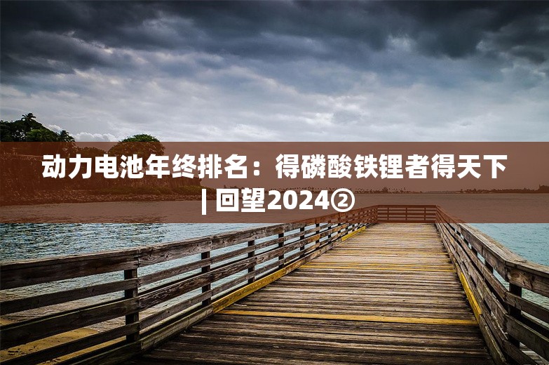 动力电池年终排名：得磷酸铁锂者得天下 | 回望2024②