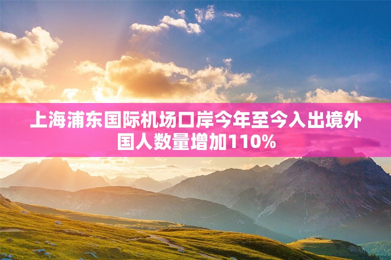 上海浦东国际机场口岸今年至今入出境外国人数量增加110%