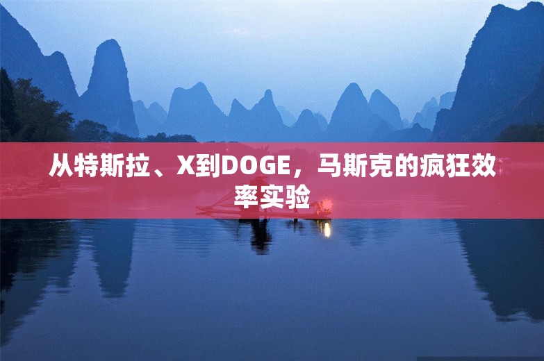 从特斯拉、X到DOGE，马斯克的疯狂效率实验