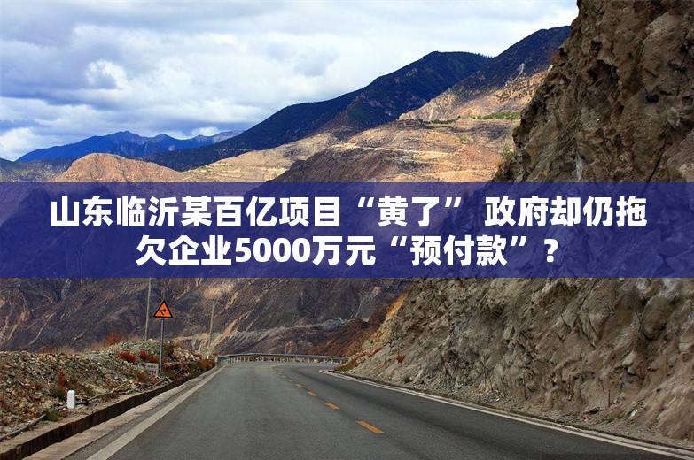 山东临沂某百亿项目“黄了” 政府却仍拖欠企业5000万元“预付款”？