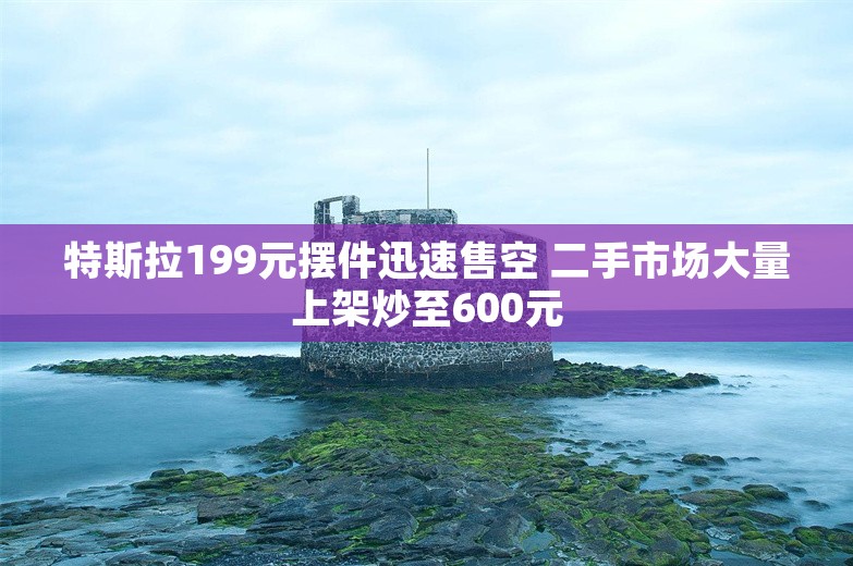 特斯拉199元摆件迅速售空 二手市场大量上架炒至600元