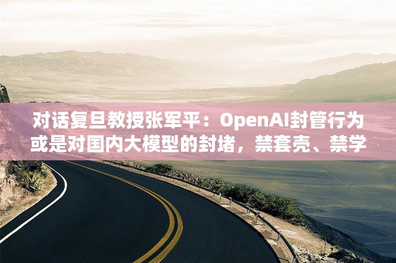 对话复旦教授张军平：OpenAI封管行为或是对国内大模型的封堵，禁套壳、禁学习