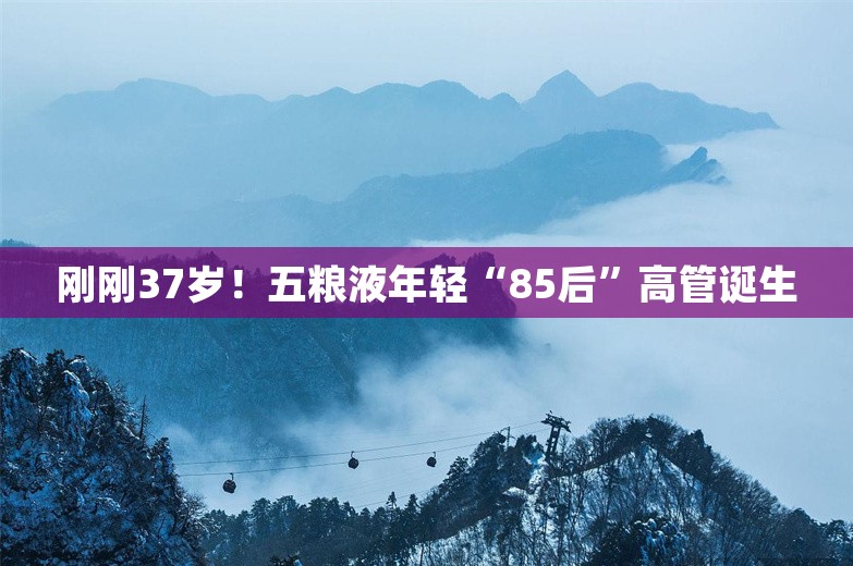 刚刚37岁！五粮液年轻“85后”高管诞生