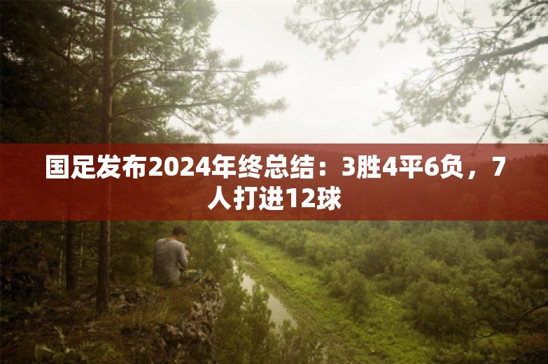 国足发布2024年终总结：3胜4平6负，7人打进12球