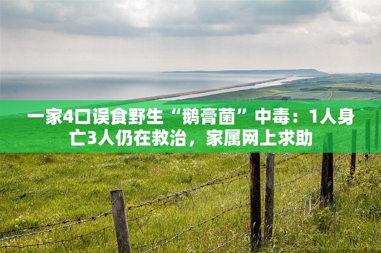 一家4口误食野生“鹅膏菌”中毒：1人身亡3人仍在救治，家属网上求助