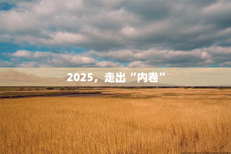 2025，走出“内卷”