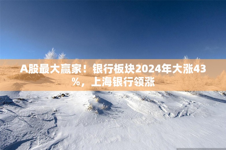 A股最大赢家！银行板块2024年大涨43%，上海银行领涨