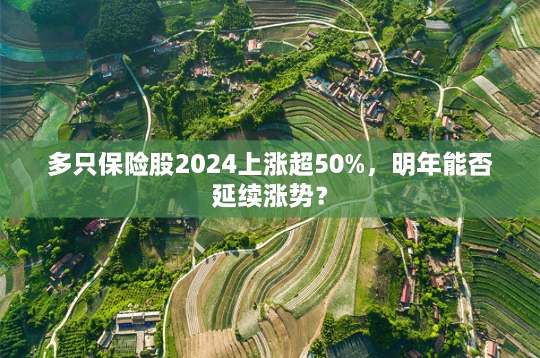 多只保险股2024上涨超50%，明年能否延续涨势？