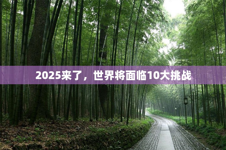 2025来了，世界将面临10大挑战