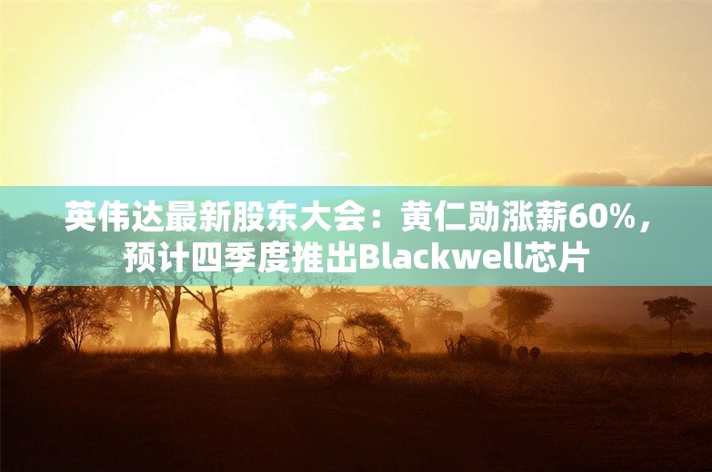 英伟达最新股东大会：黄仁勋涨薪60%，预计四季度推出Blackwell芯片