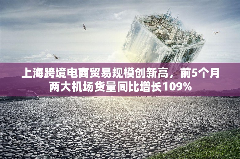 上海跨境电商贸易规模创新高，前5个月两大机场货量同比增长109%