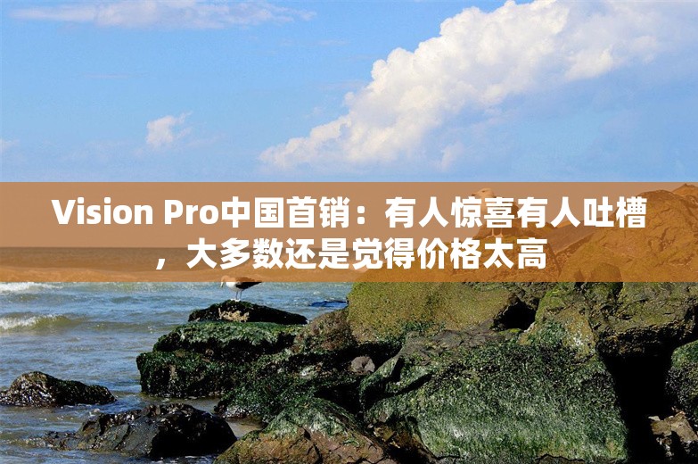 Vision Pro中国首销：有人惊喜有人吐槽，大多数还是觉得价格太高