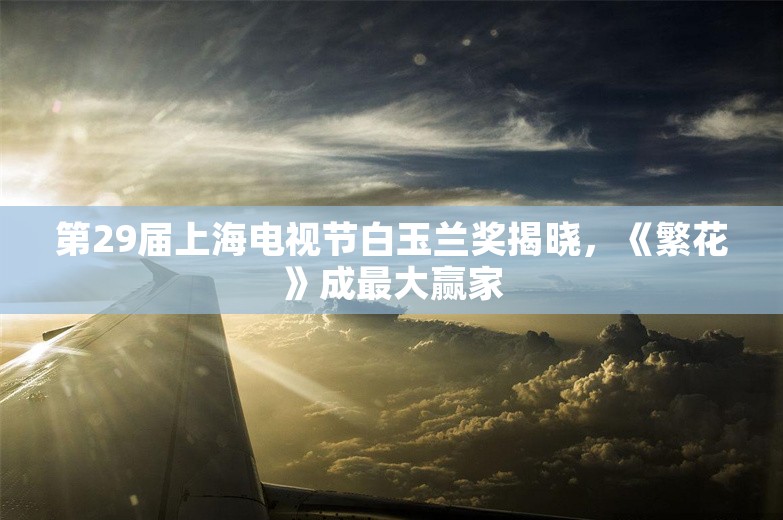 第29届上海电视节白玉兰奖揭晓，《繁花》成最大赢家