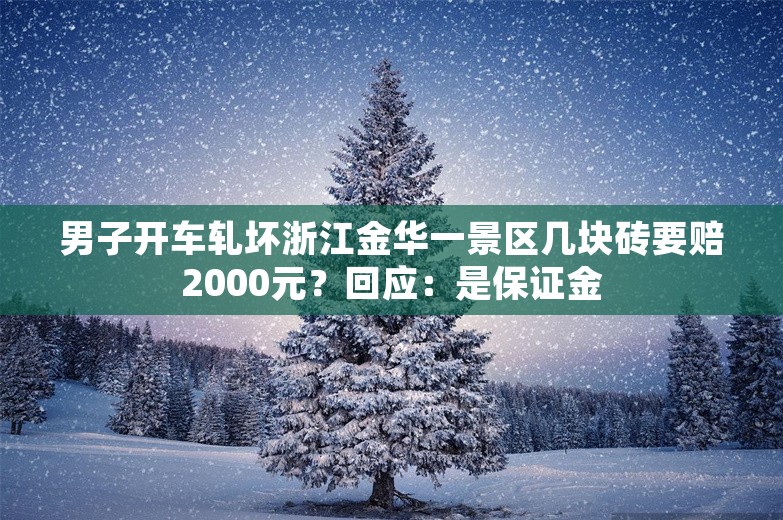 男子开车轧坏浙江金华一景区几块砖要赔2000元？回应：是保证金