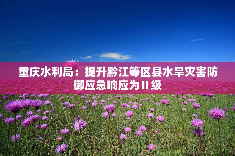 重庆水利局：提升黔江等区县水旱灾害防御应急响应为Ⅱ级