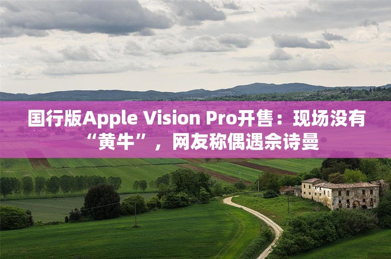 国行版Apple Vision Pro开售：现场没有“黄牛”，网友称偶遇佘诗曼