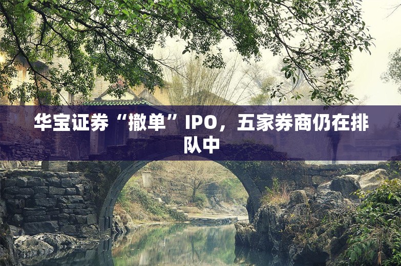 华宝证券“撤单”IPO，五家券商仍在排队中