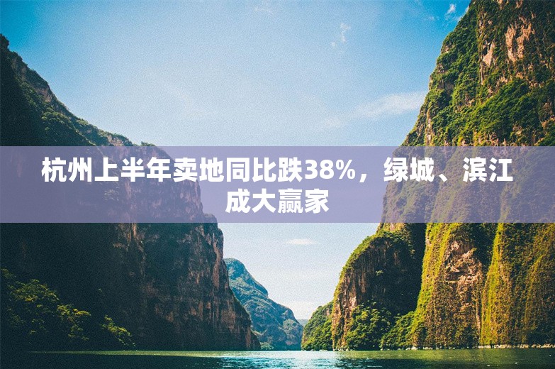 杭州上半年卖地同比跌38%，绿城、滨江成大赢家