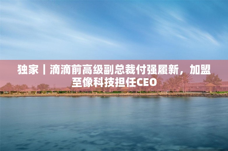 独家｜滴滴前高级副总裁付强履新，加盟至像科技担任CEO