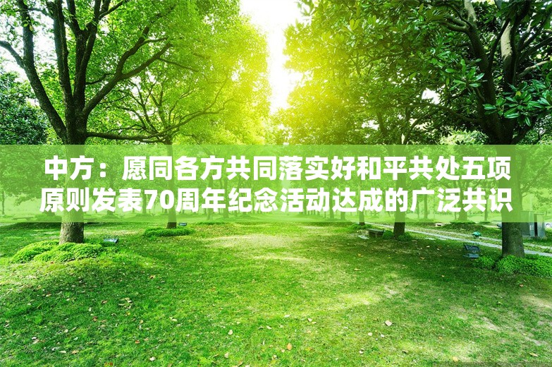 中方：愿同各方共同落实好和平共处五项原则发表70周年纪念活动达成的广泛共识