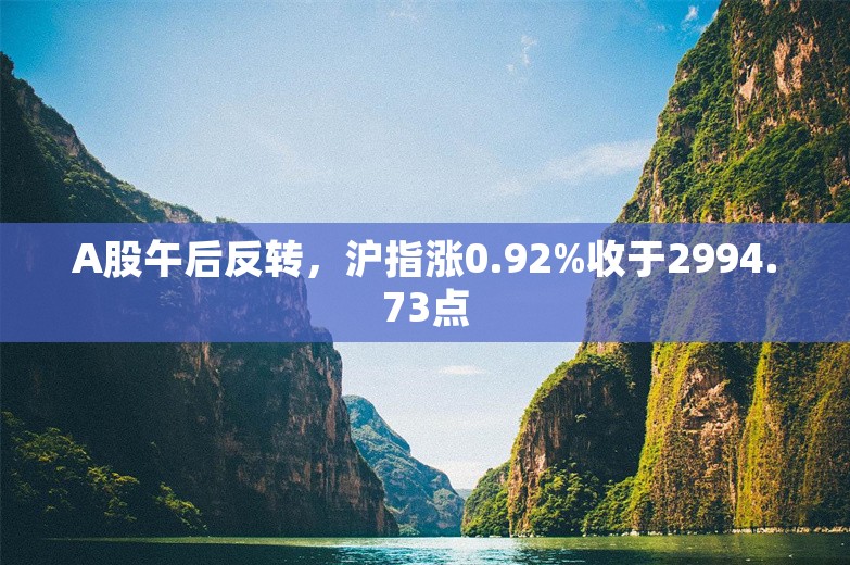 A股午后反转，沪指涨0.92%收于2994.73点