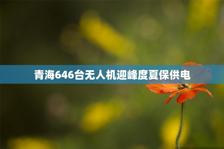 青海646台无人机迎峰度夏保供电