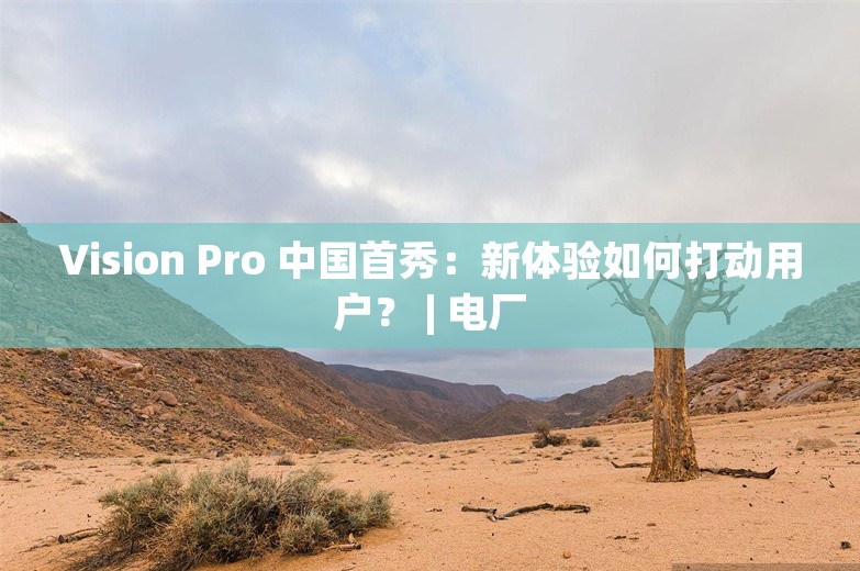 Vision Pro 中国首秀：新体验如何打动用户？ | 电厂