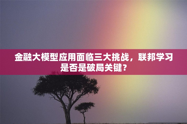 金融大模型应用面临三大挑战，联邦学习是否是破局关键？