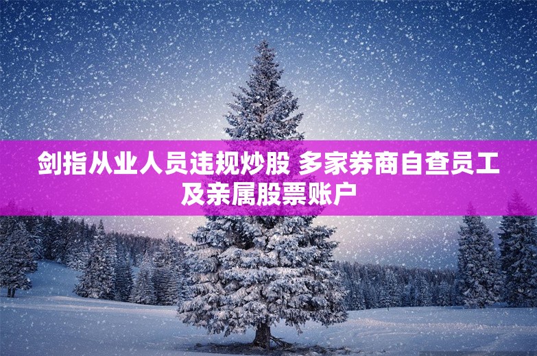 剑指从业人员违规炒股 多家券商自查员工及亲属股票账户