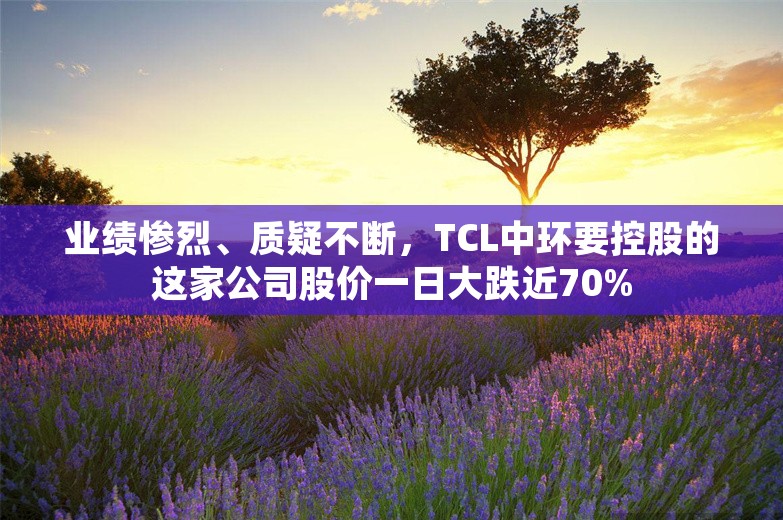 业绩惨烈、质疑不断，TCL中环要控股的这家公司股价一日大跌近70%