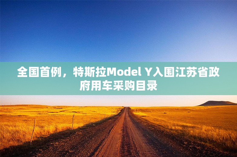 全国首例，特斯拉Model Y入围江苏省政府用车采购目录