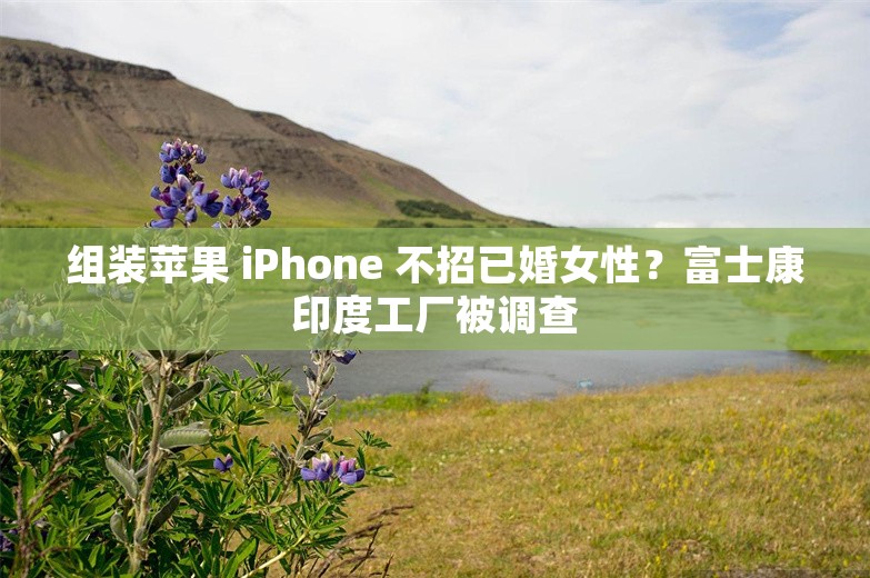 组装苹果 iPhone 不招已婚女性？富士康印度工厂被调查