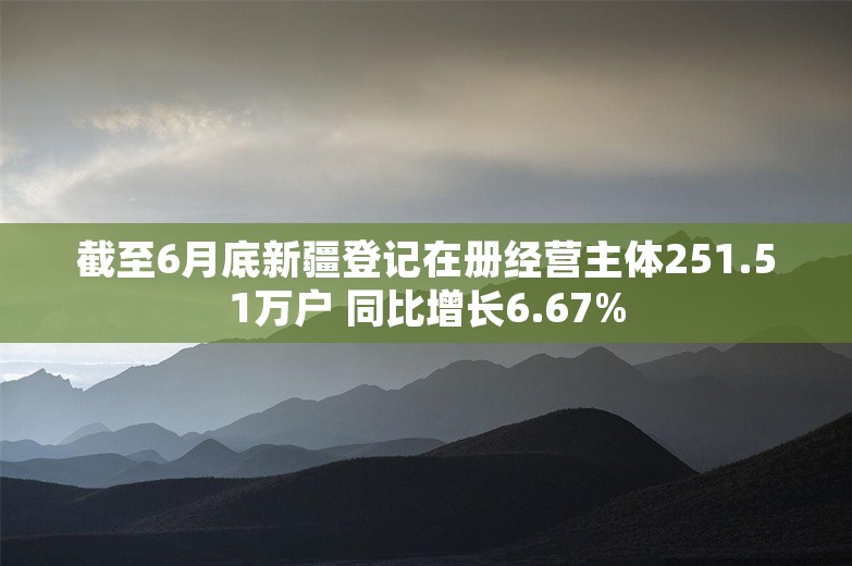 截至6月底新疆登记在册经营主体251.51万户 同比增长6.67%