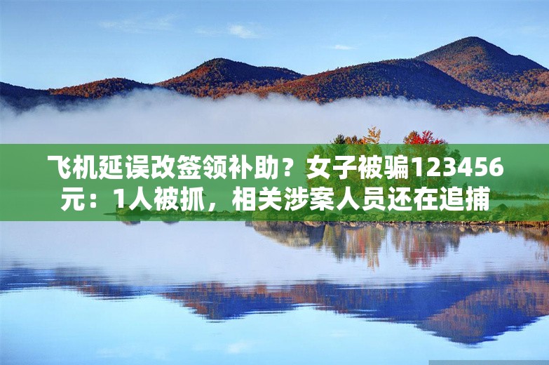 飞机延误改签领补助？女子被骗123456元：1人被抓，相关涉案人员还在追捕