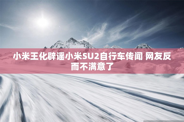 小米王化辟谣小米SU2自行车传闻 网友反而不满意了