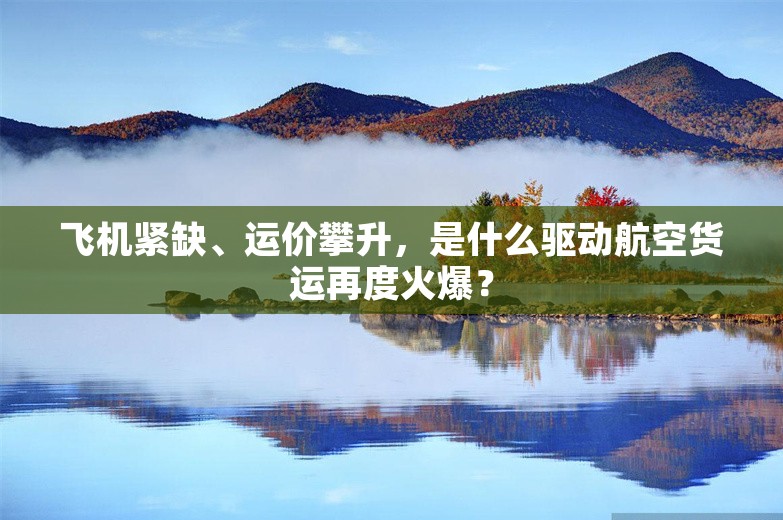 飞机紧缺、运价攀升，是什么驱动航空货运再度火爆？