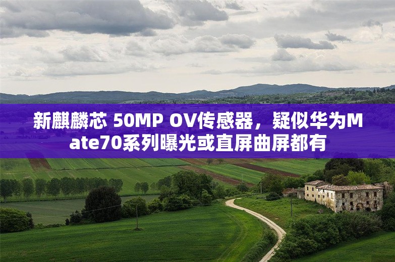 新麒麟芯 50MP OV传感器，疑似华为Mate70系列曝光或直屏曲屏都有